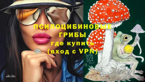 меф Гусиноозёрск