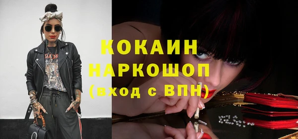 гидропоника Гусь-Хрустальный