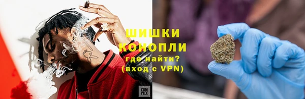 гидропоника Гусь-Хрустальный