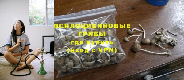 гидропоника Гусь-Хрустальный