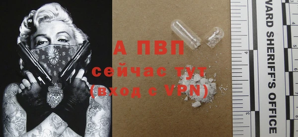 гидропоника Гусь-Хрустальный