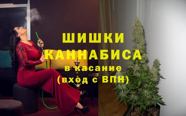 гидропоника Гусь-Хрустальный